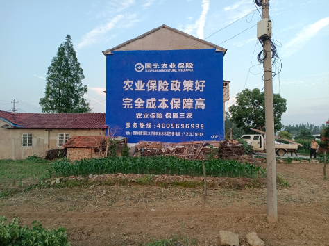 康定墙体广告的优劣势你知道吗?